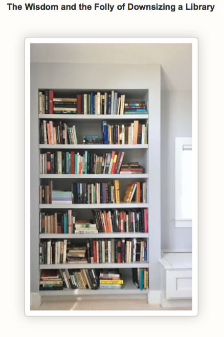 Lynn Sloan's bookshelves